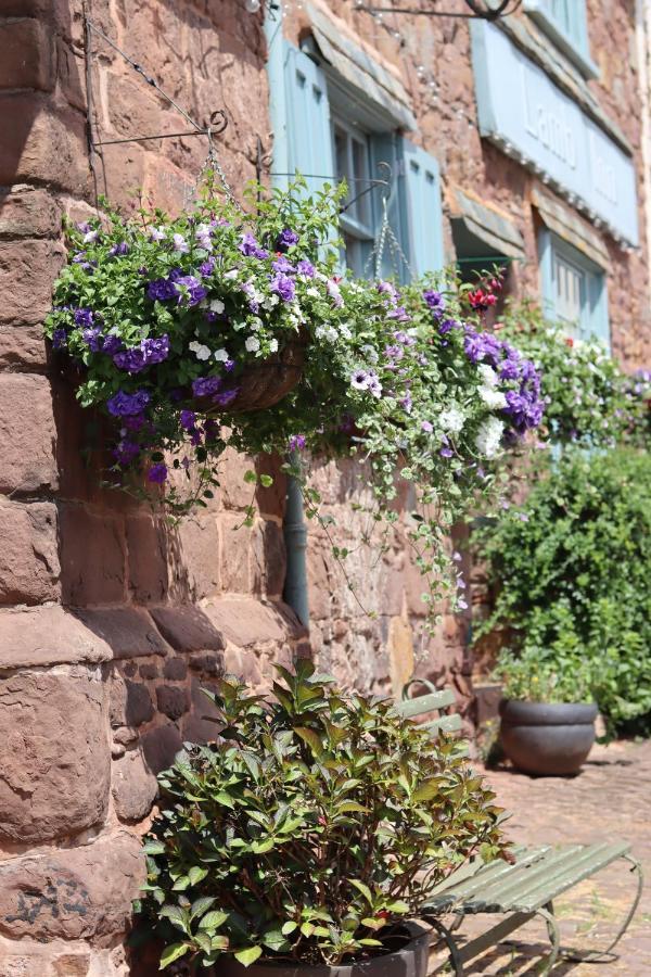 The Lamb Inn Crediton Eksteriør billede